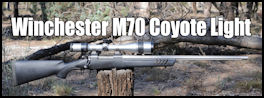 Winchester M70 Coyote Light - .243 Win Issue 77 (click the pic for an enlarged view)